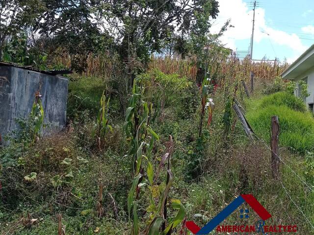 #Cod. 1014 - Haras para Venta en Azogues - F