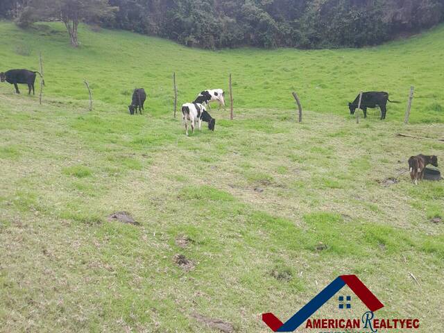 #Cod. 1019 - Hacienda para Venta en Cuenca - A
