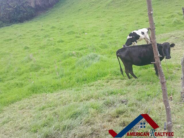 #Cod. 1019 - Hacienda para Venta en Cuenca - A - 2
