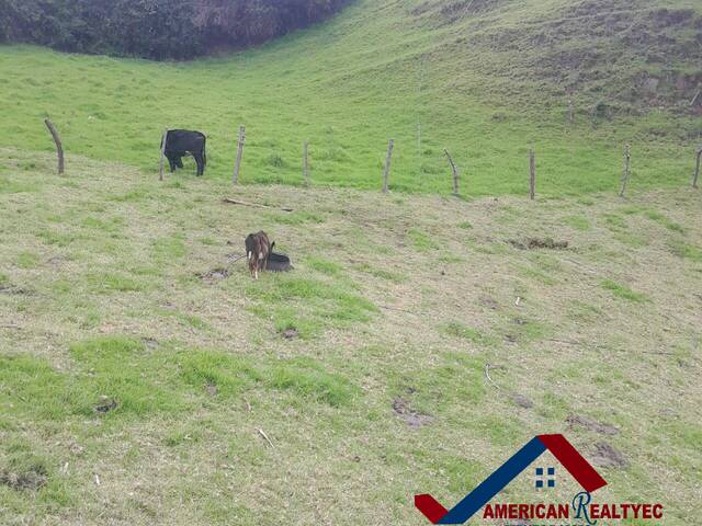 #Cod. 1019 - Hacienda para Venta en Cuenca - A - 3
