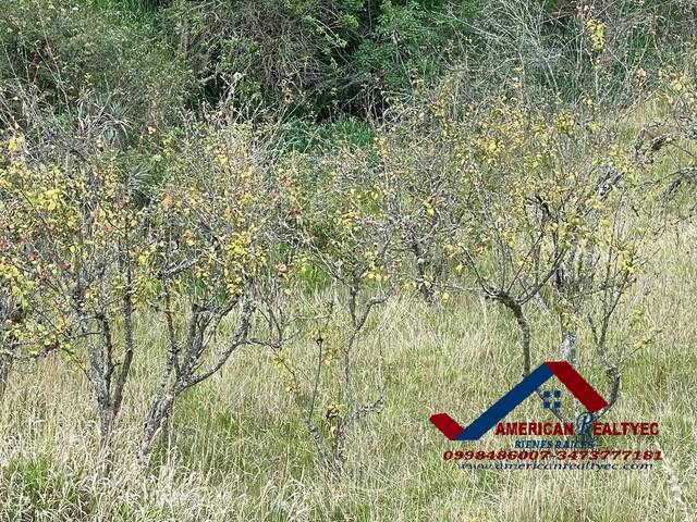 #Cod. 1064 - Quinta para Venta en Azogues - F - 3